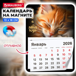 Календарь отрывной на магните на 2026 г. 13*18см. "Котик" склейка (BRAUBERG)