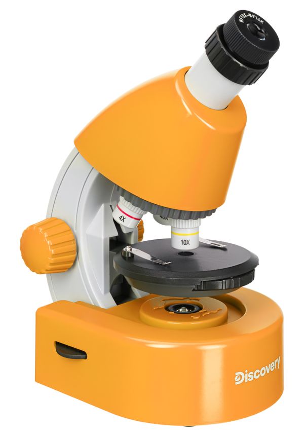 Микроскоп Levenhuk Discovery Micro с книгой, 77954