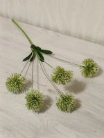 Дикий лук