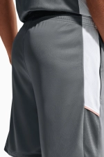Шорты Nike Dri-FIT Academy 25 - серый