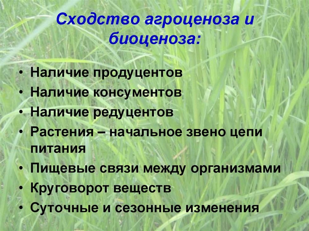 Модель-аппликация Агроценоз — купить по ФГОС | Учебный стандарт