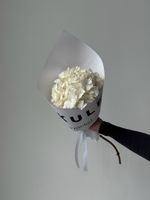 Кулек из белой гортензии