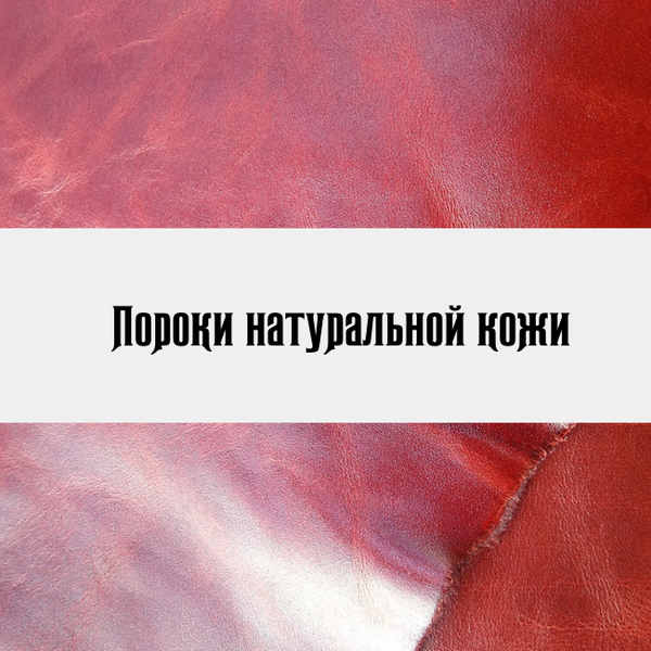 Пороки натуральной кожи Пороки натуральной кожи