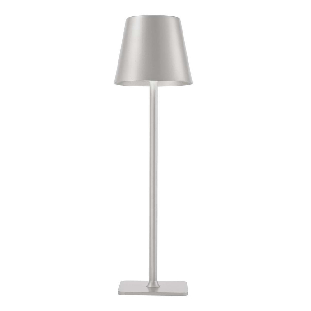 Аккумуляторный светильник F-Promo Pyari 4617-1T