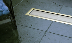 Душевой лоток Pestan Confluo Premium White Glass Gold Line 300 белое стекло/позолоченная сталь 13100088