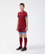 Шорты игровые DIVISION PerFormDRY Union Shorts, гранатовый/голубой/белый