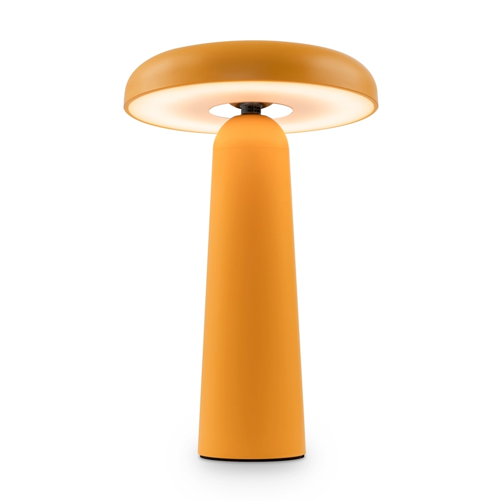 Аккумуляторный светильник Freya Mushroom FR6109TL-L4OR