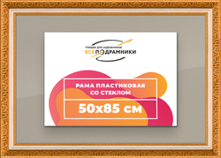 Рамка 50x85 для постера и фотографий