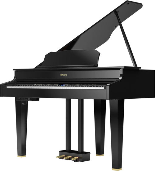 Roland GP 607-PE