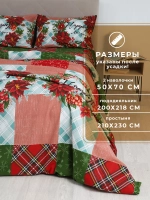 Постельное белье евро нав. 50х70 Александрия