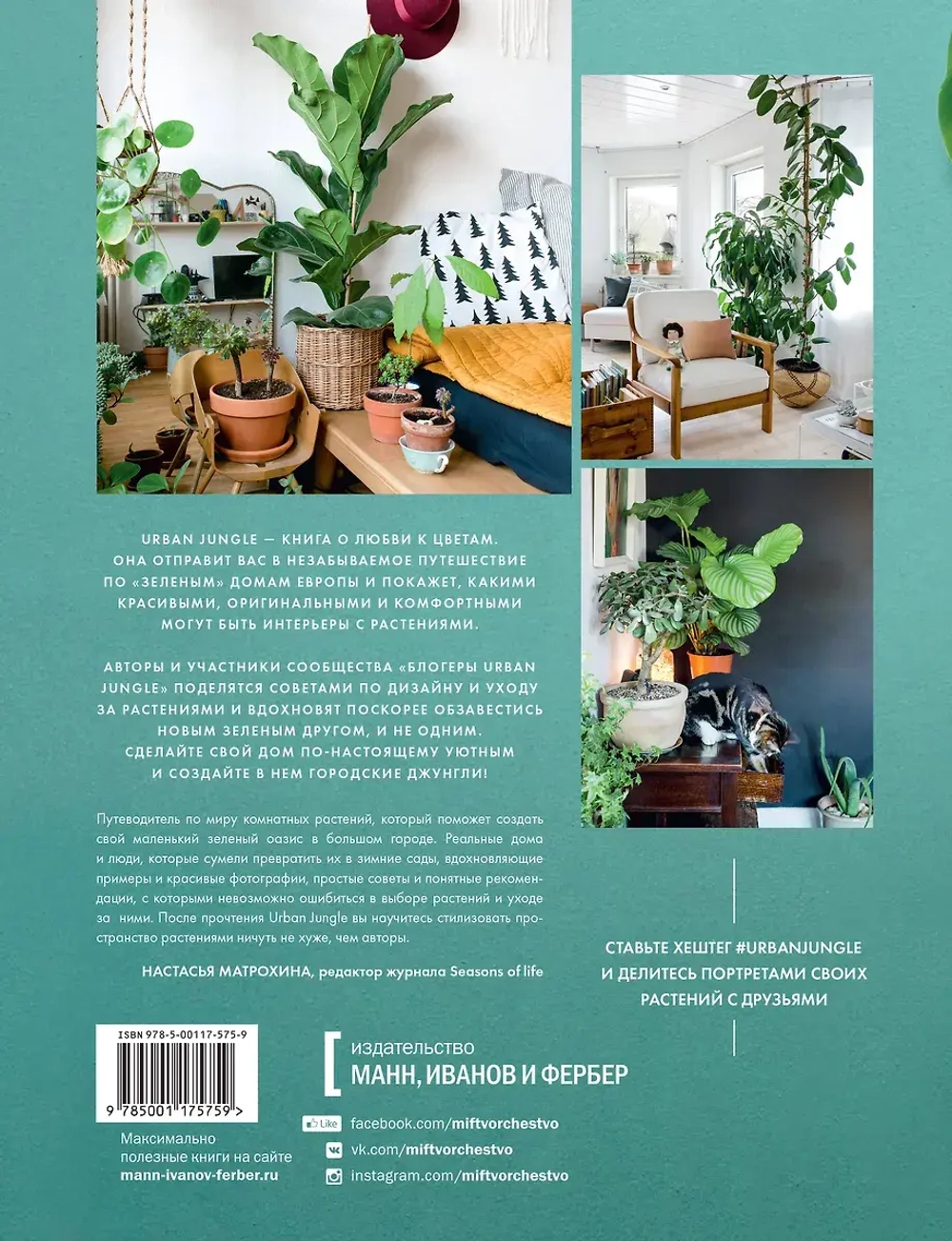 Urban Jungle