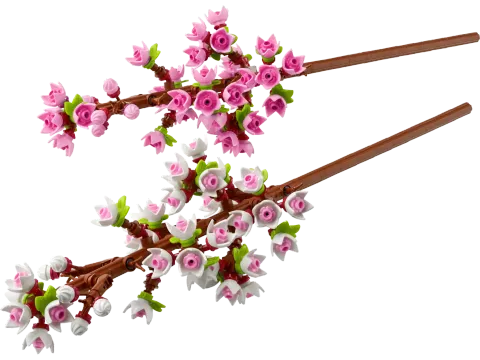 Конструктор LEGO Botanical Collection 40725 Цветущая вишня