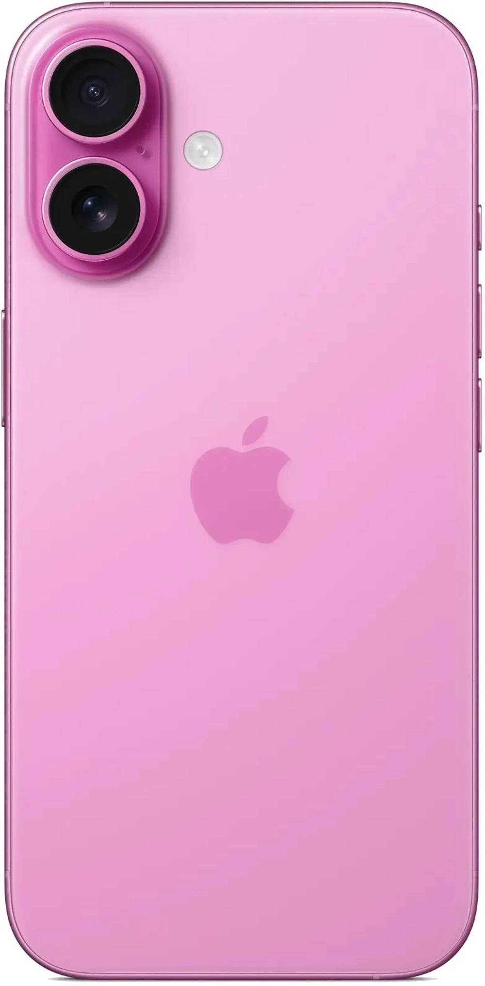 16 Plus 512 Pink