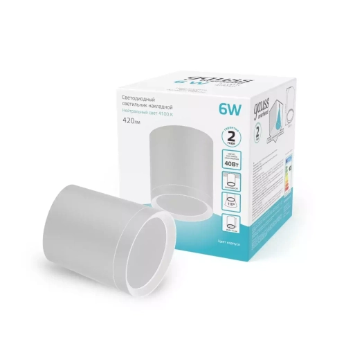 Св-к Gauss LED HD022 Overhead накладной цил. с рассеивателем 6W 420lm белый 4100K 68*75mm