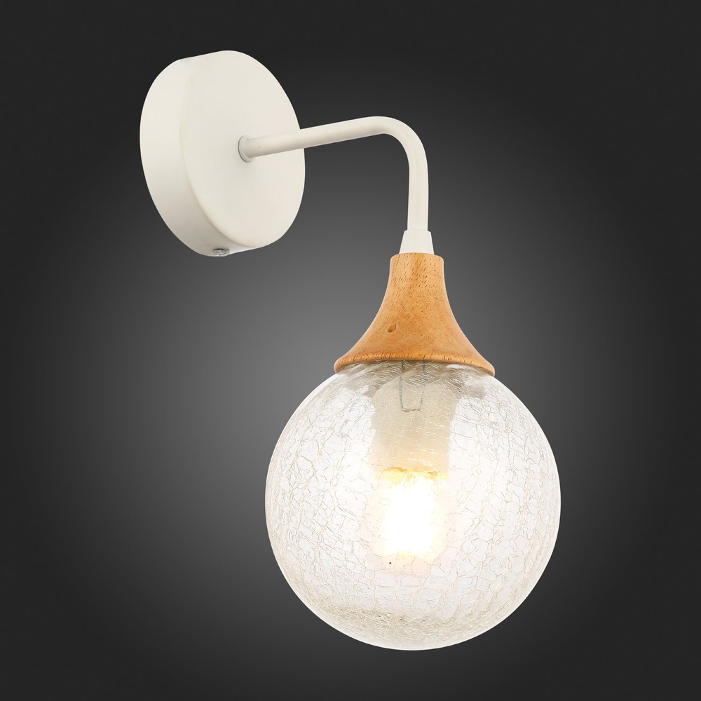 Светильник настенный ST Luce Lione SLE109501-01