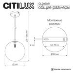 Citilux ORTON CL202021 Подвесной светильник Дымчатый