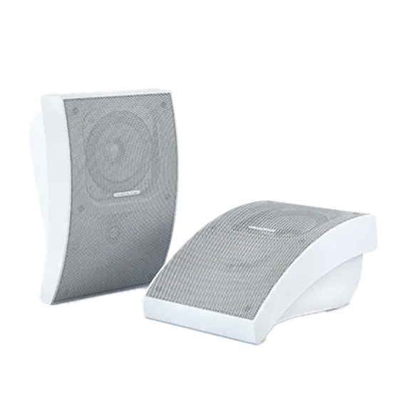 CVGAUDIO WPA10TW настенная акустическая система