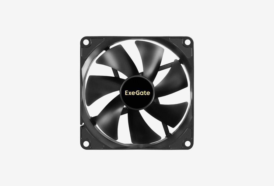 EX299894RUS_0126709111135