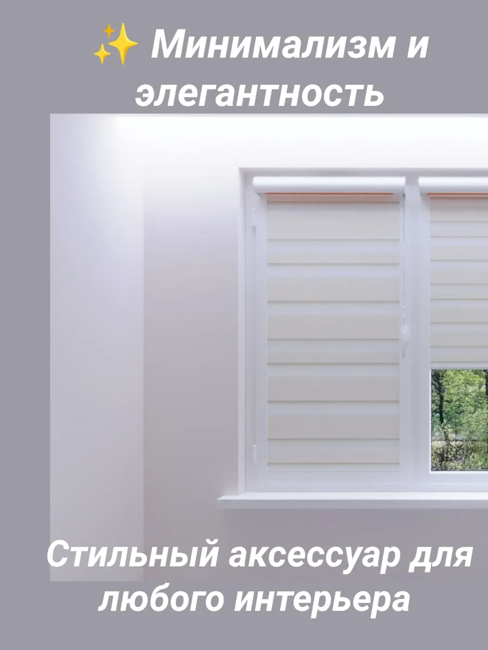 Рулонные шторы День-Ночь 50х160 см