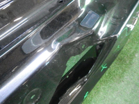 DSCN8518.JPG