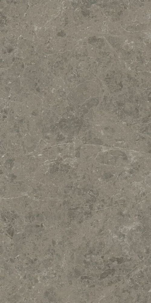 Керамогранит ATLAS CONCORDE MARVEL MERAVIGLIA Grigio Elegante Lappato 9 mm 60х120 AJHW