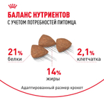 Royal Canin Mini Indoor Adult Мини Индор Эдалт Корм сухой для взрослых собак мелких пород в возрасте от 10 месяцев живущих в помещении 500г