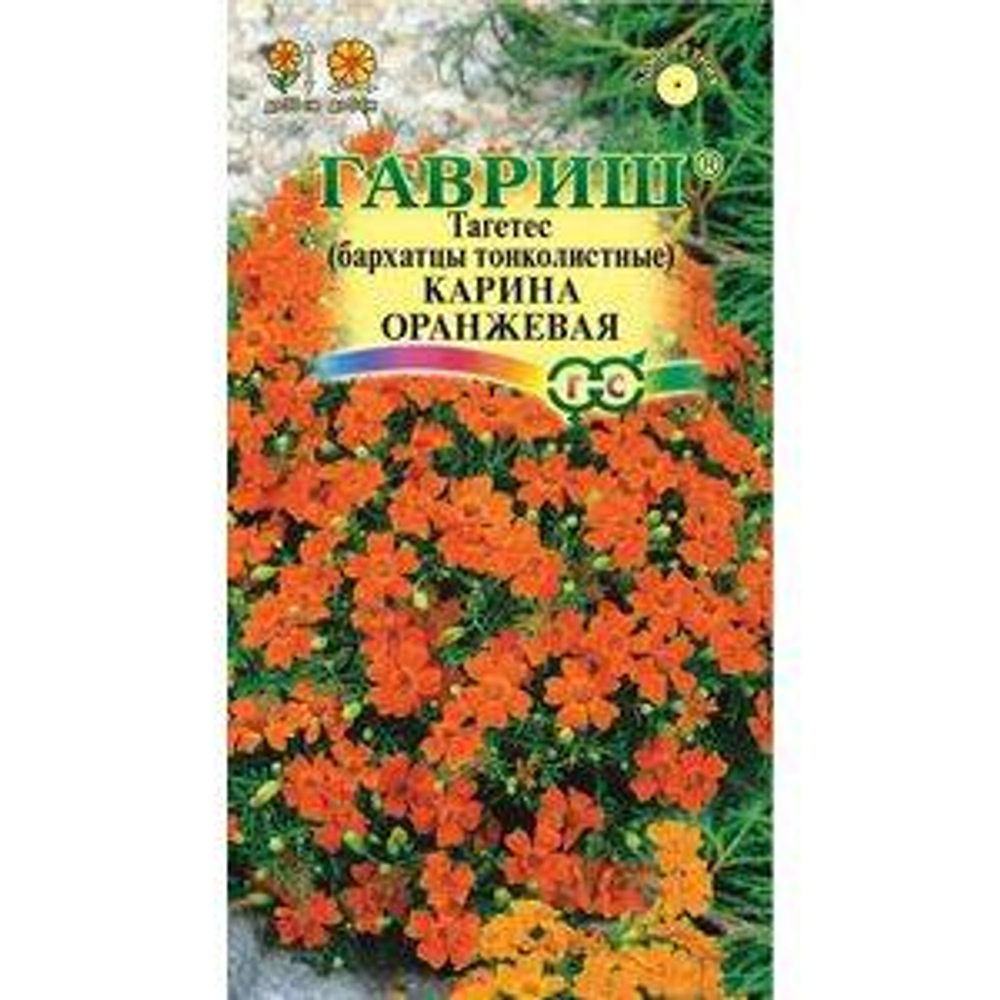 Бархатцы тонколист. Карина оранжевая (Тагетес) 0,05г  *10  ГШ +