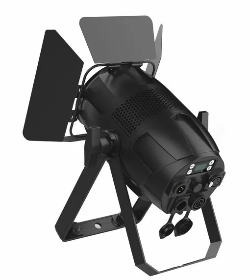 ACME STAGE PAR TUNGSTEN - светодиодный прожектор PAR, 125Вт