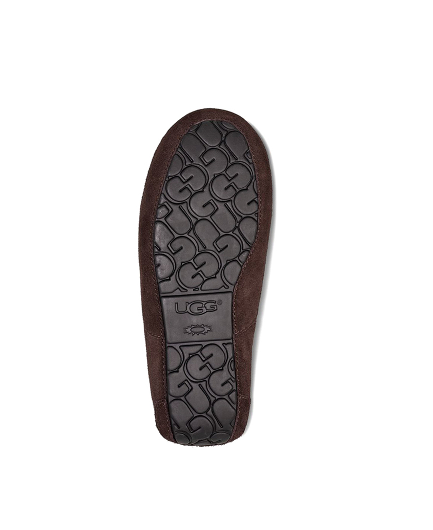 ASCOT MENS chocolate