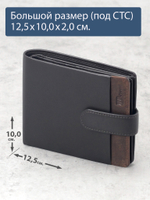 B123168R Castanho - Портмоне с RFID защитой MP