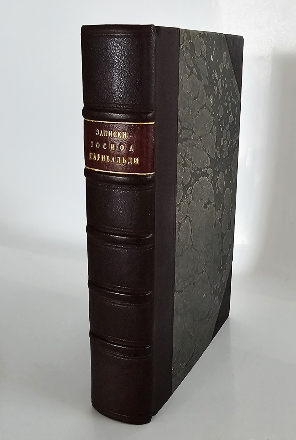 "Записки Иосифа Гарибальди". 1860 г.