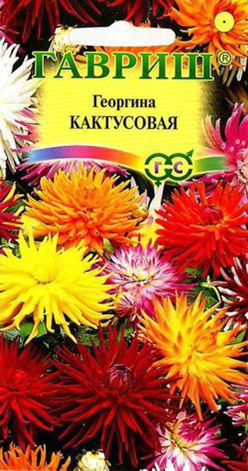 Георгина Кактусовидная смесь