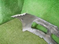 DSCN9007.jpg