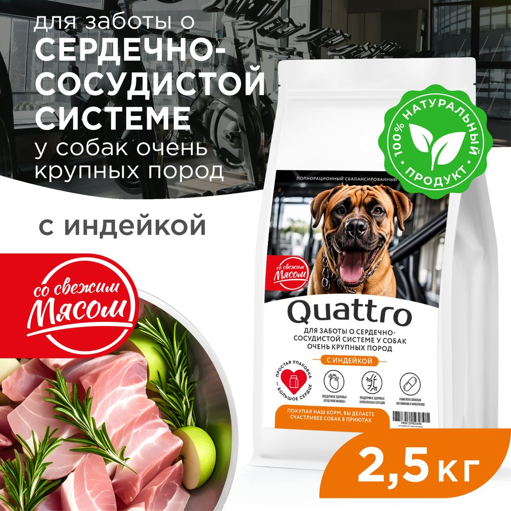 Корм сухой для взрослых собак очень крупных пород, премиум полнорационный комплекс, для заботы сердечно-сосудистой системы, с индейкой, 2,5 кг, QUATTRO