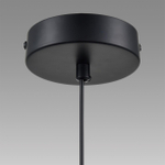 Подвесной светильник Lumion ISHA 8101/1A