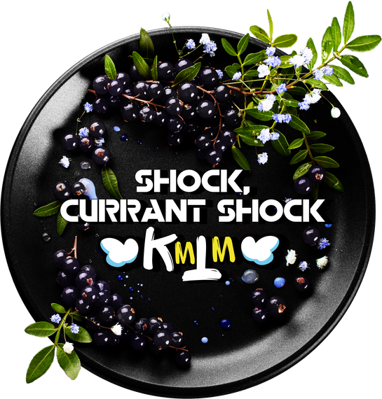 Black Burn - Shock Currant Shock