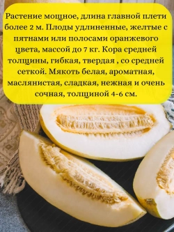Семена Дыня "Торпеда" 5 гр