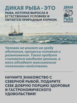 "ЛОМТИКИ ДИКОГО ЛОСОСЯ" ТАЁЖНЫЙ ЦЕХ филе кеты без шкуры 0,5 кг