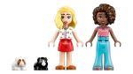 Конструктор LEGO Friends 42640 Игровая площадка для морских свинок