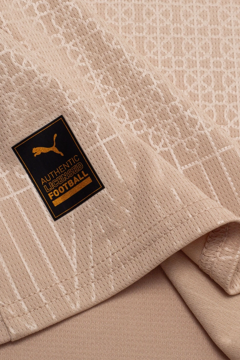 Футболка Puma Borussia Dortmund 25/26 Special Edition - бежевый