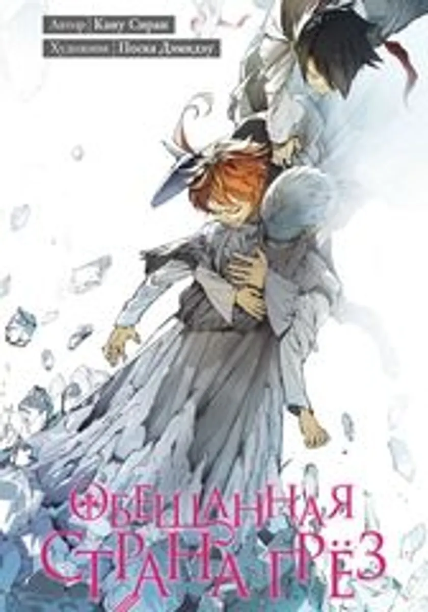 Обещанная страна грёз. Книга 9