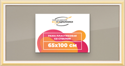 Рамка 65x100 для постера и фотографий