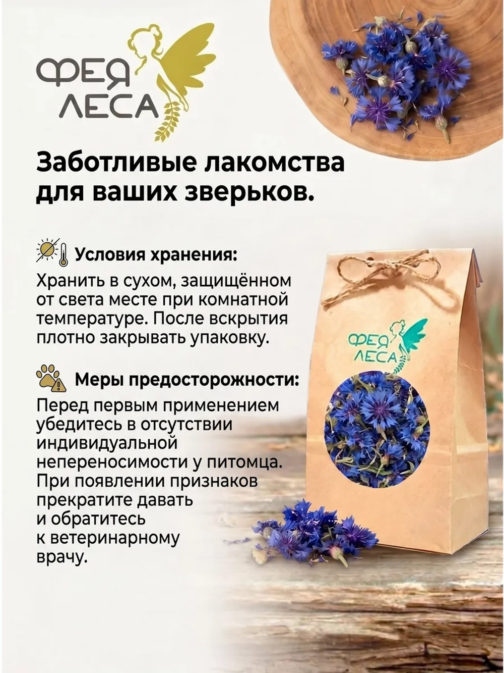 Василёк синий цветы-корзинки для чая и декора