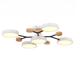 Светильник потолочный Evoluce Faema SLE6006-502-05