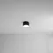 Потолочный светильник Fado A6612PL-1BK Arte Lamp
