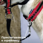 Недоуздок корректор поведения Спорт (Халти) для собак