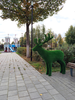 Марал
