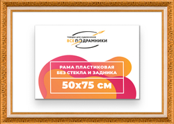 Рама 50x75 для картин и фотографий