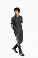 Футболка adidas Liverpool FC 25/26 LFSTLR - черный
