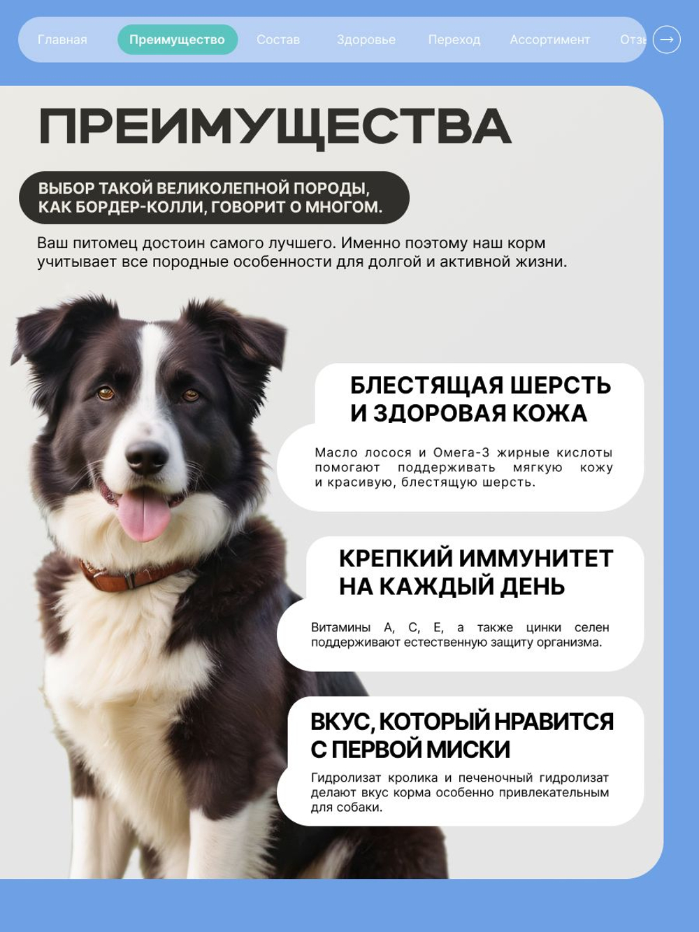 Корм для взрослых собак породы Бордер-колли, с кроликом, 12 кг, QUATTRO